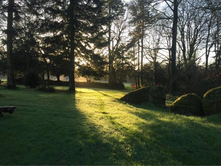 Merveilleux Cottage Dans Parc De 7,5 Hectares Saint-Nicolas-du-Pélem Exterior foto